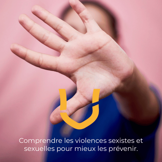 Formation violences sexistes et sexuelles Dijon